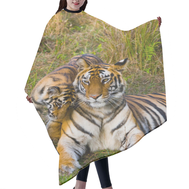 Personality  Cub And Mother Tiger Hair Cutting Cape