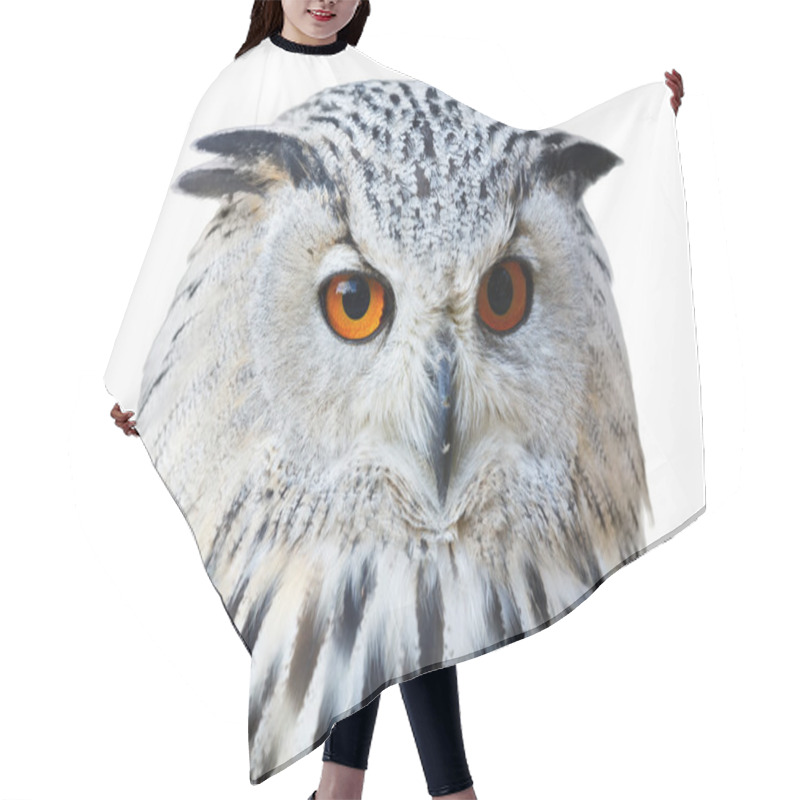 Personality  Isolated Eagle Owl With His Big And Beautiful Oranges Eyes Hair Cutting Cape