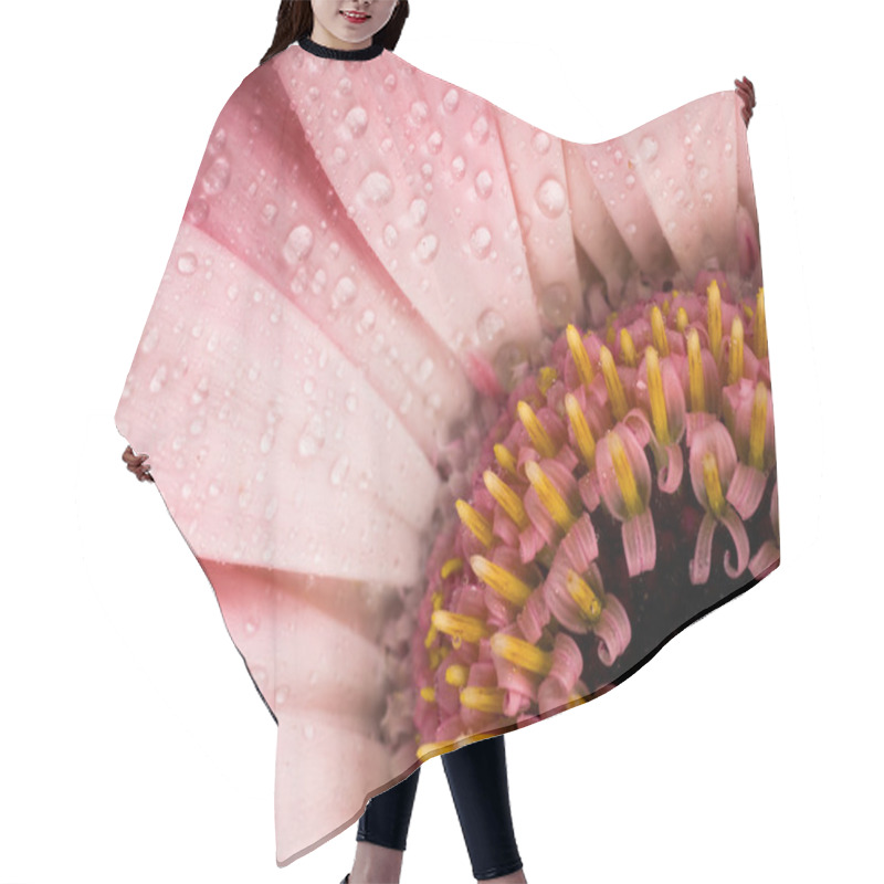 Personality  Dew Drops On Gerbera Daisy Hair Cutting Cape