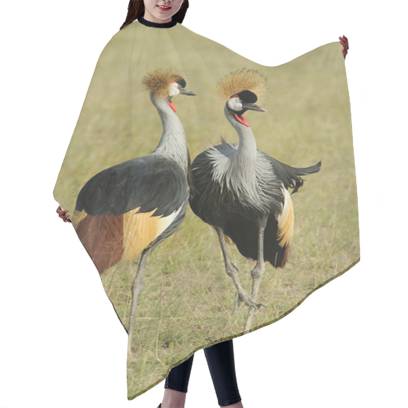 Personality  Crowned Crane Hair Cutting Cape