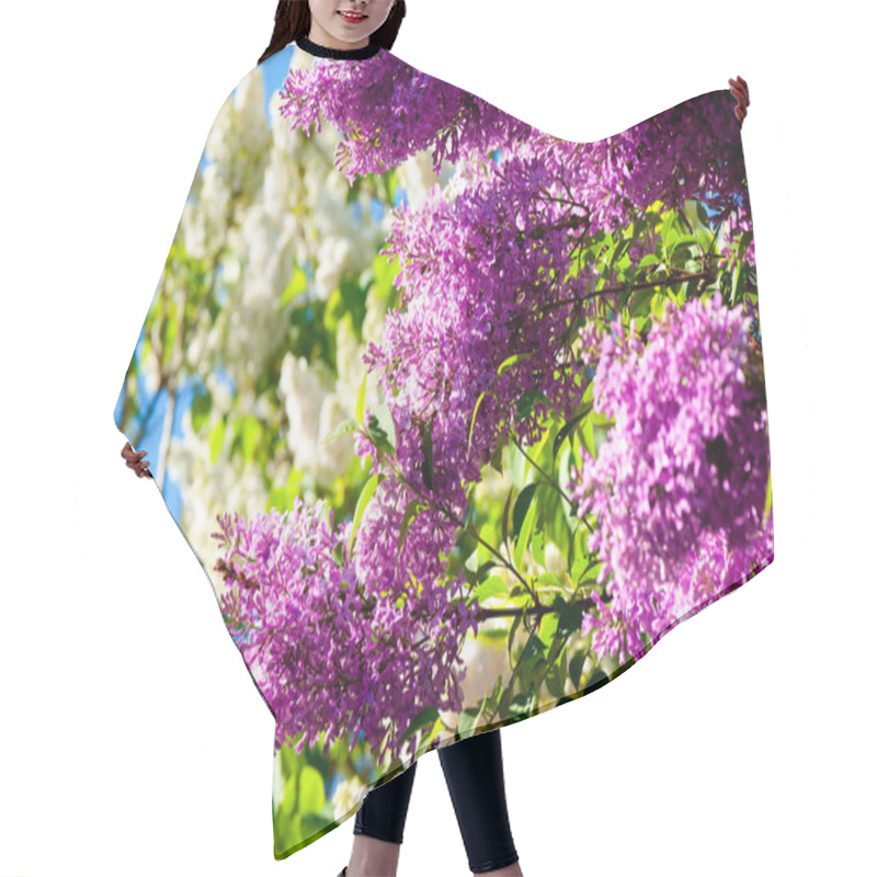 Personality  Blooming Lilac In Spring Hair Cutting Cape