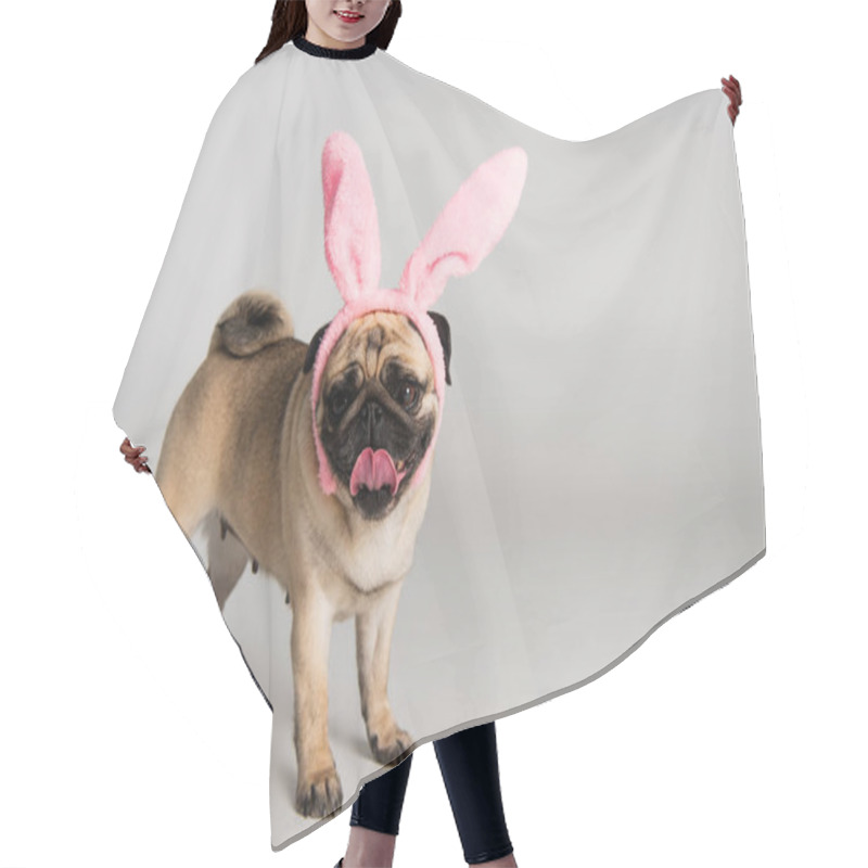 Personality  Cute Pug Dog In Pink Headband With Bunny Ears Standing On Grey Background  Hair Cutting Cape