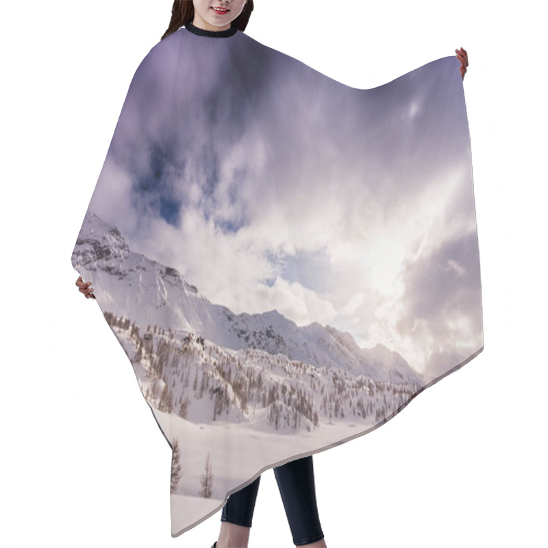 Personality  Winter Landscape With Fresh Snow Hair Cutting Cape