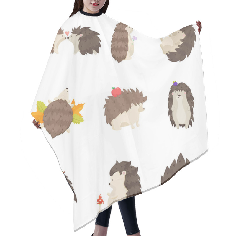 Personality  Set Of Cute Hedgehogs In Different Poses And Various Emotions On A White Background Hair Cutting Cape