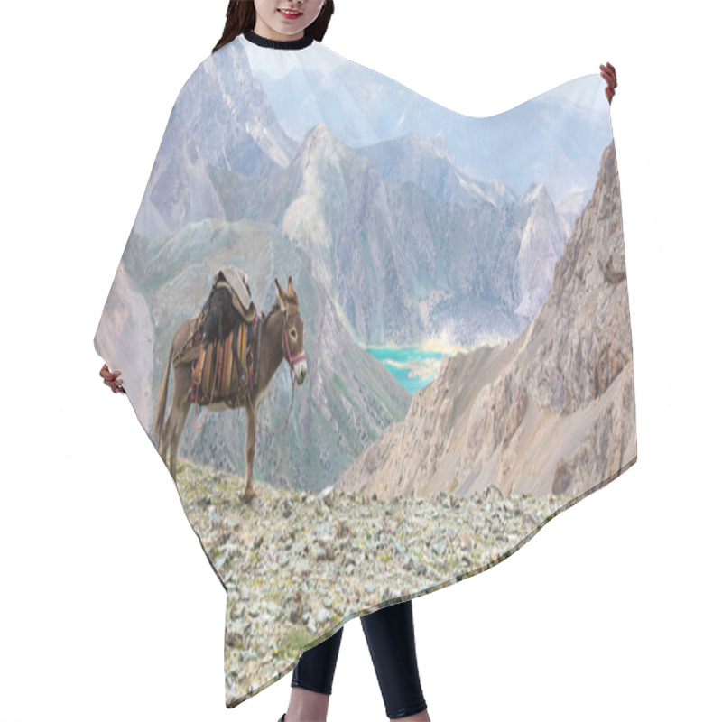 Personality  Cargo Donkey In Mountain Area Hair Cutting Cape