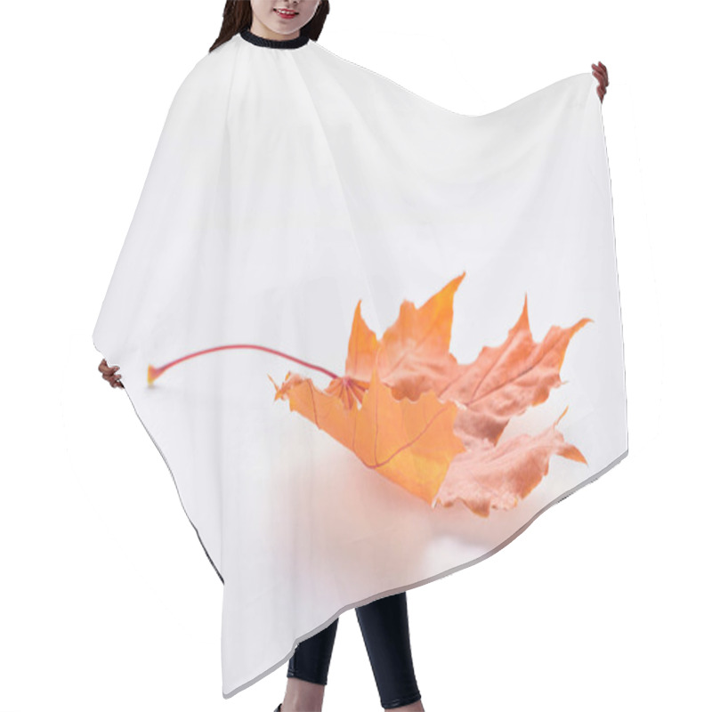 Personality  One Orange Autumnal Maple Leaf Isolated On White Hair Cutting Cape