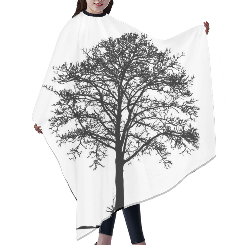 Personality  Tree Without Leaves Vector Illustration , EPS 10. Hair Cutting Cape