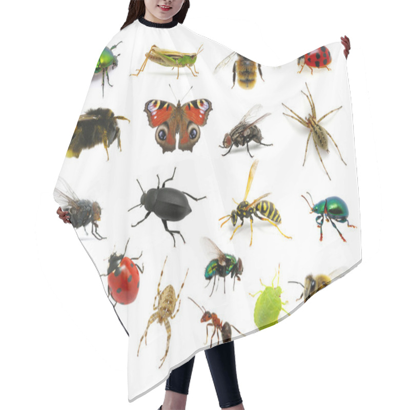 Personality  Set Of Insects Hair Cutting Cape