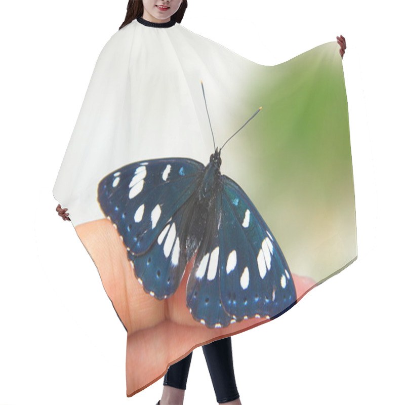 Personality  Butterfly On Hand Hair Cutting Cape