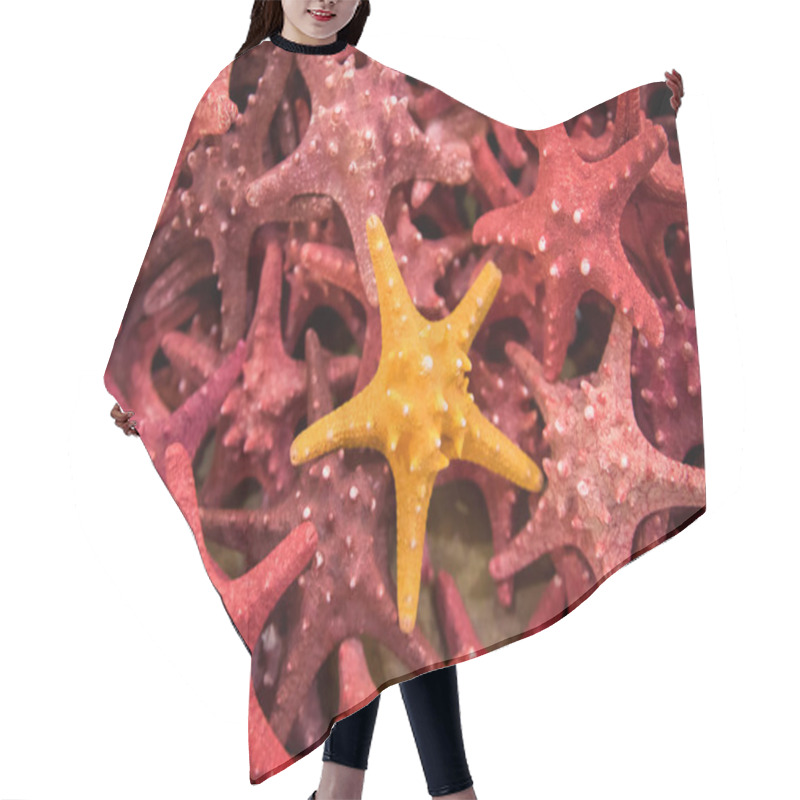 Personality  Top View Of Plenty Starfish Hair Cutting Cape