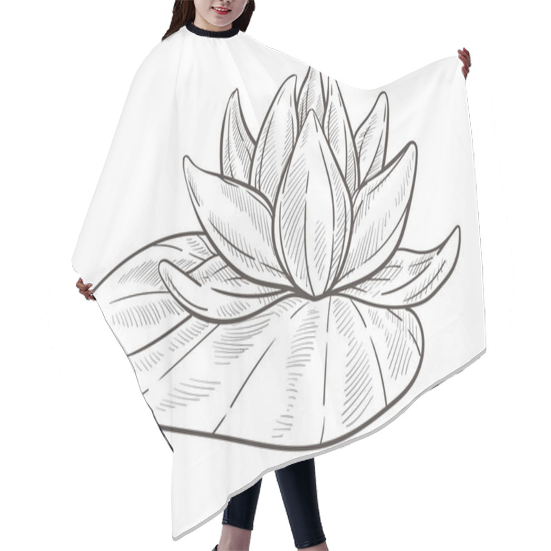 Personality  Water Flower Isolated Sketch, Lotus Bud With Leaf Hair Cutting Cape