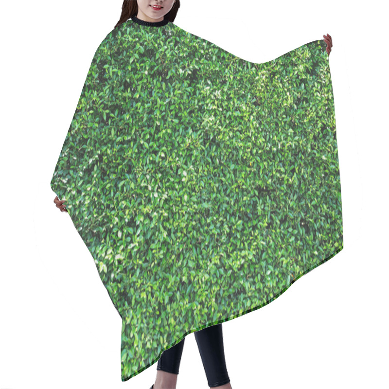 Personality  Green Leaves Natural Wall. Hair Cutting Cape