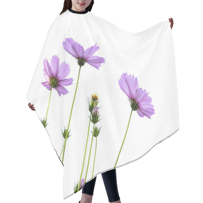 Personality  Purple Cosmos Flowers On A White Background Hair Cutting Cape