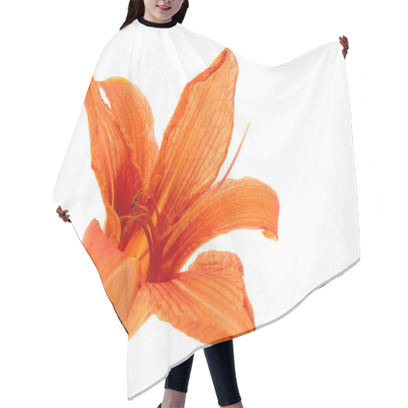 Personality  Orange Lily Isolated Hair Cutting Cape