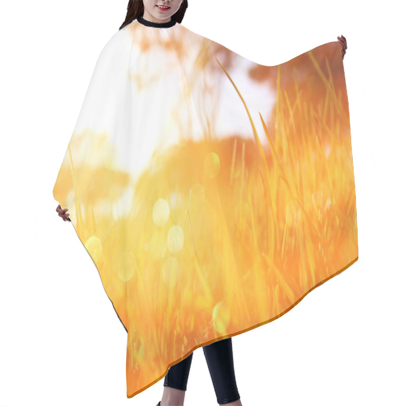 Personality  Blurred Abstract Photo Of And Glitter Hair Cutting Cape