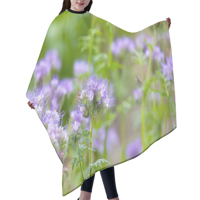 Personality  Phacelia On A Green Blurred Background. Plant For Bees Hair Cutting Cape