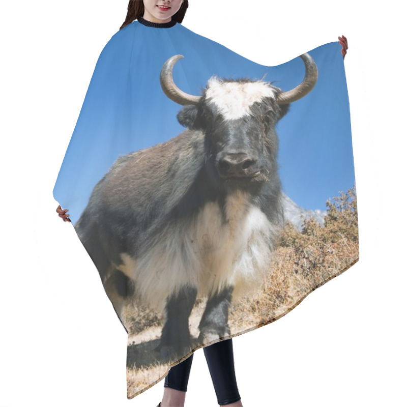 Personality  Black And White Yak Hair Cutting Cape