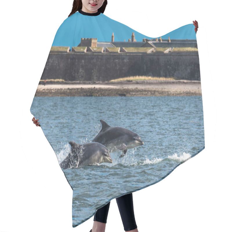 Personality  Team Of Bottlenose Dolphin Jumping In The Moray Firth In Front Of Fort George Near Inverness In Scotland Hair Cutting Cape