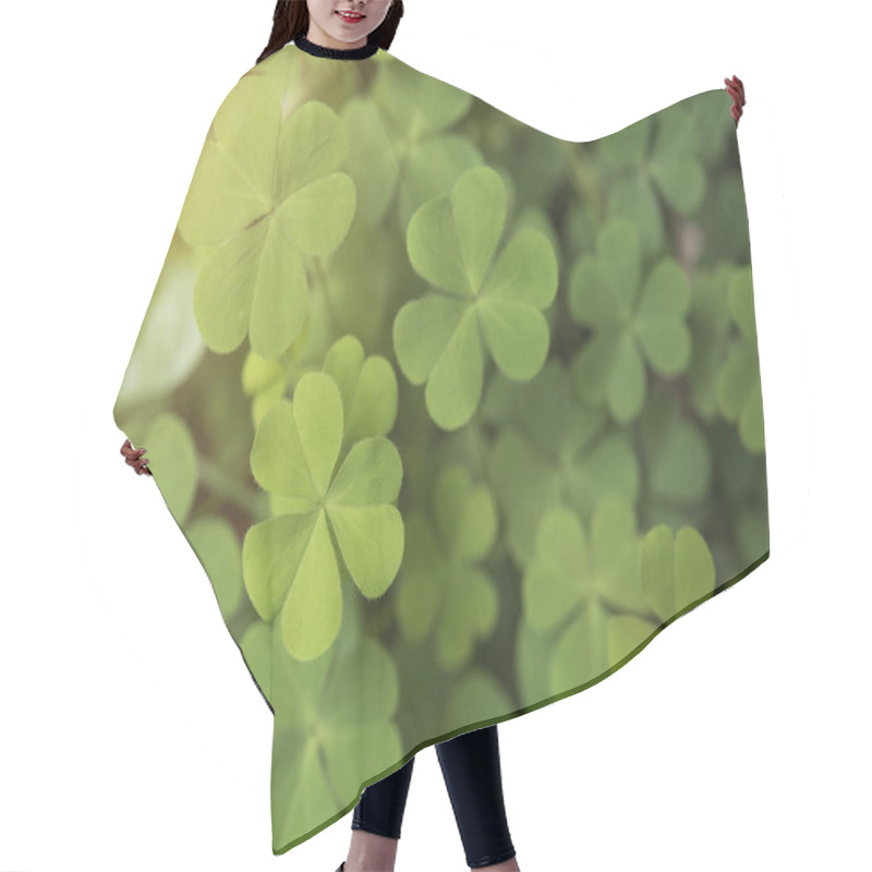 Personality  Green Clover Leaves Heart For Background Nature.  Hair Cutting Cape