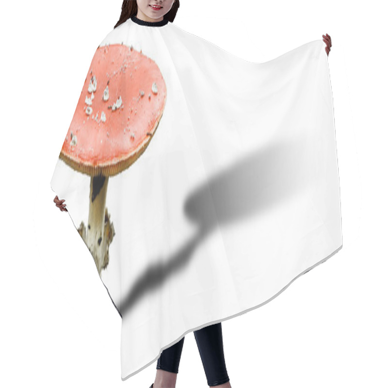 Personality  Toadstool Hair Cutting Cape