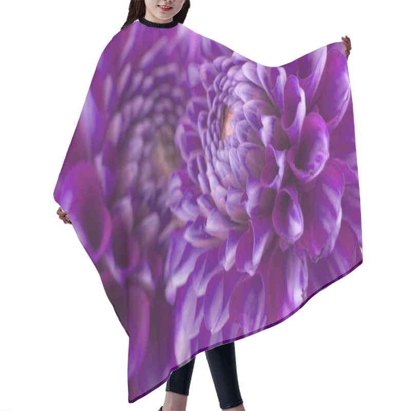 Personality  Close-up View Of Beautiful Blooming Dahlia Hair Cutting Cape