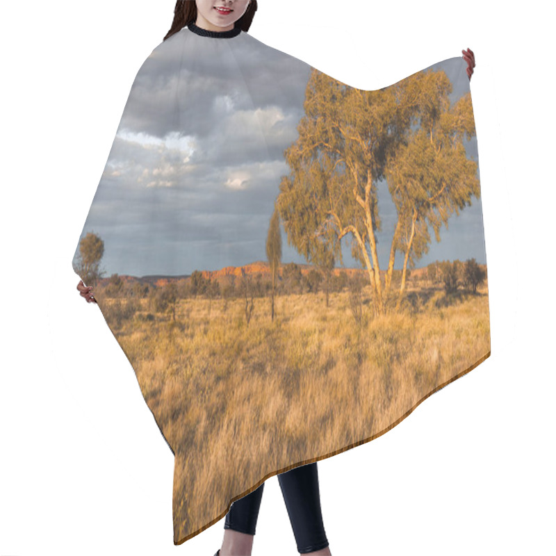 Personality  Scenic View Of Watarrka National Park (Kings Canyon), Central Australia, Northern Territory, Australia Hair Cutting Cape