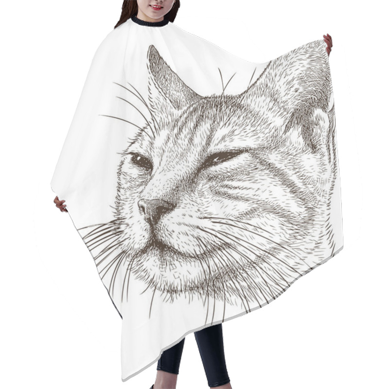 Personality  Portrait Of A Sly Cat Hair Cutting Cape