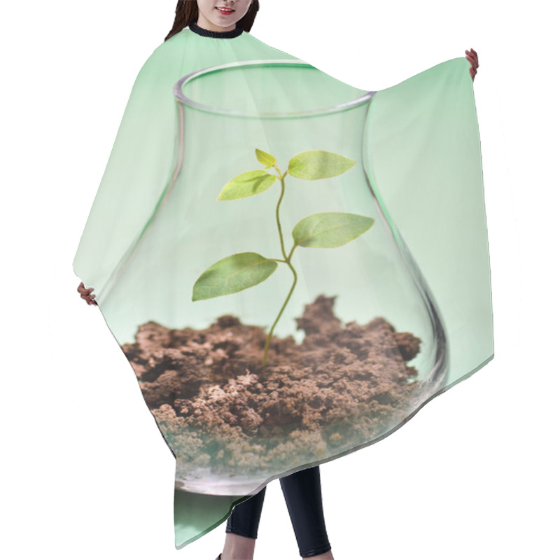 Personality  Growing Plant In A Test Tube Hair Cutting Cape