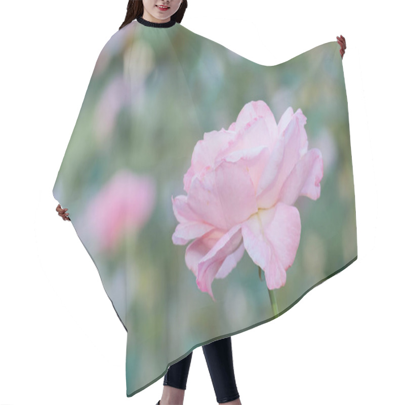 Personality  Pastel Soft Pink Rose On A Blurred Background Hair Cutting Cape