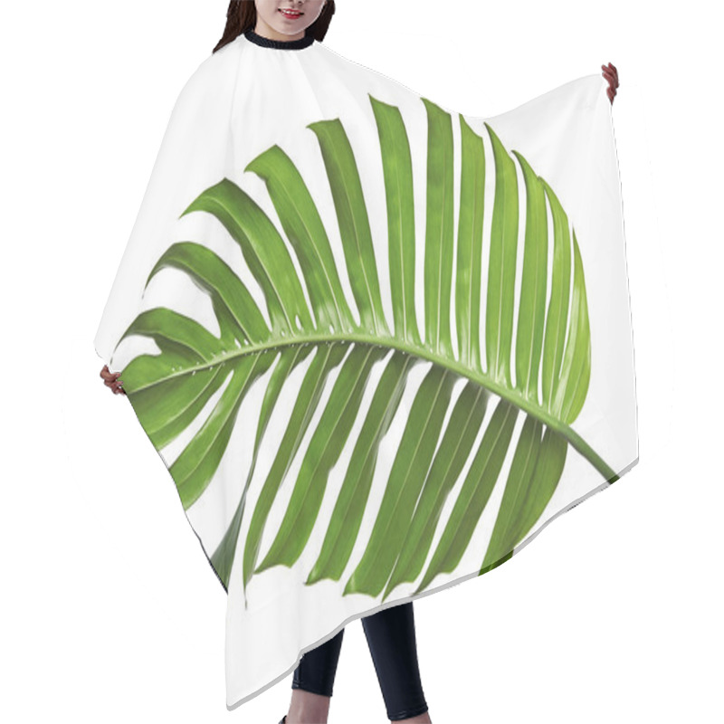 Personality  Monstera Deliciosa Leaf Or Swiss Cheese Plant, Isolated On White Background, With Clipping Path Hair Cutting Cape