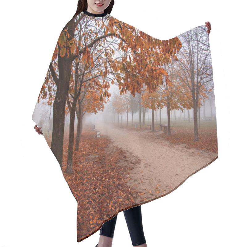 Personality  Misty Autumn Park Hair Cutting Cape