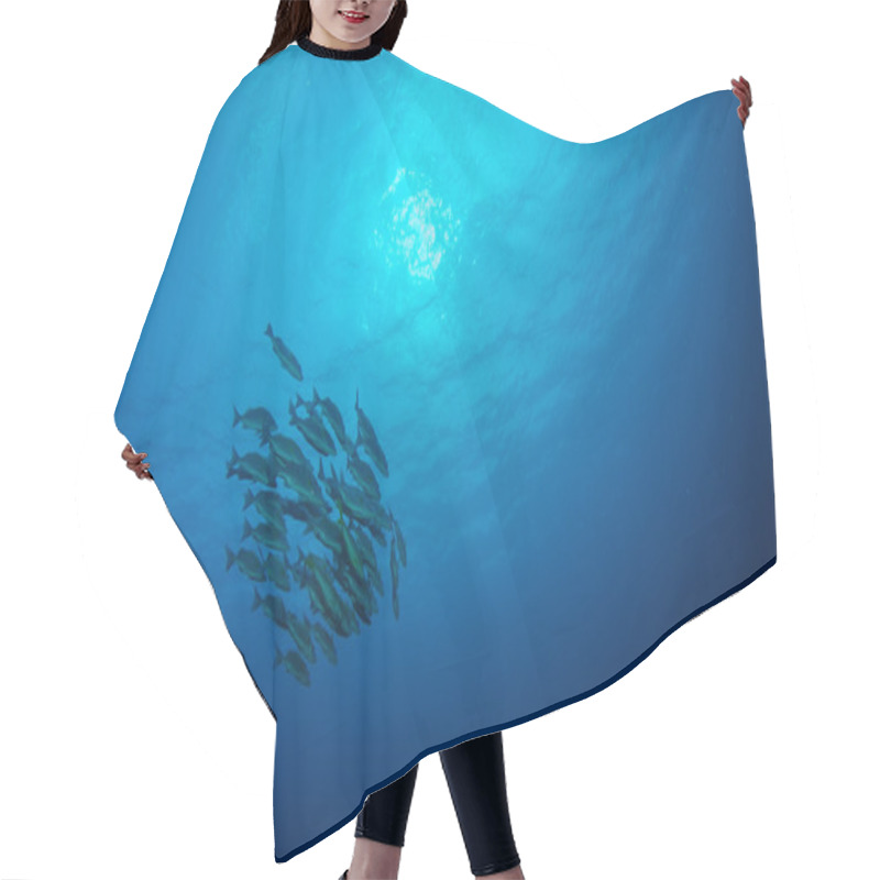 Personality  Underwater Caribbean Sea Hair Cutting Cape