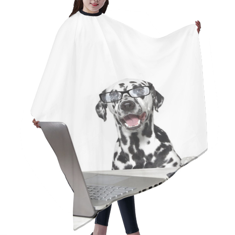 Personality  Dalmatian With Laptop And Notebook.  Hair Cutting Cape