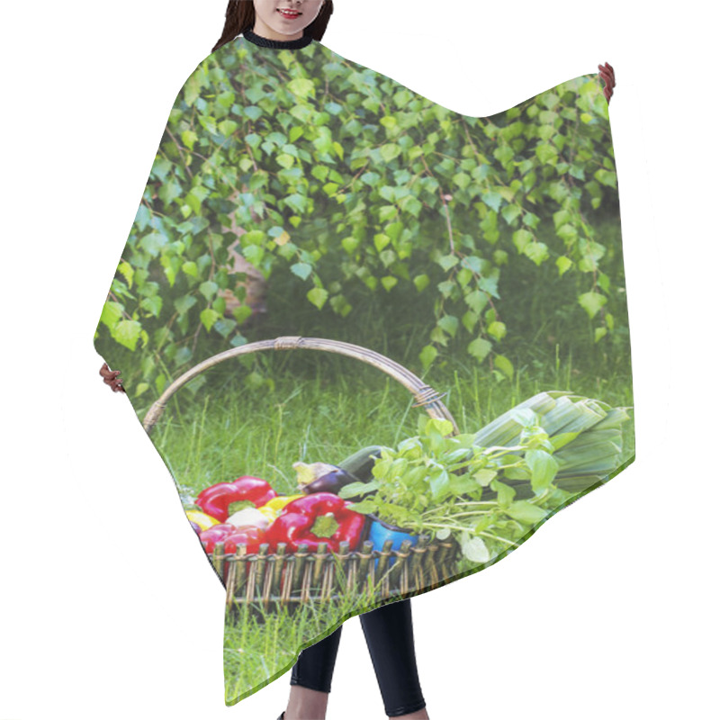 Personality  Basket Of Fresh Vegetables In The Garden. Birch Branches Hair Cutting Cape