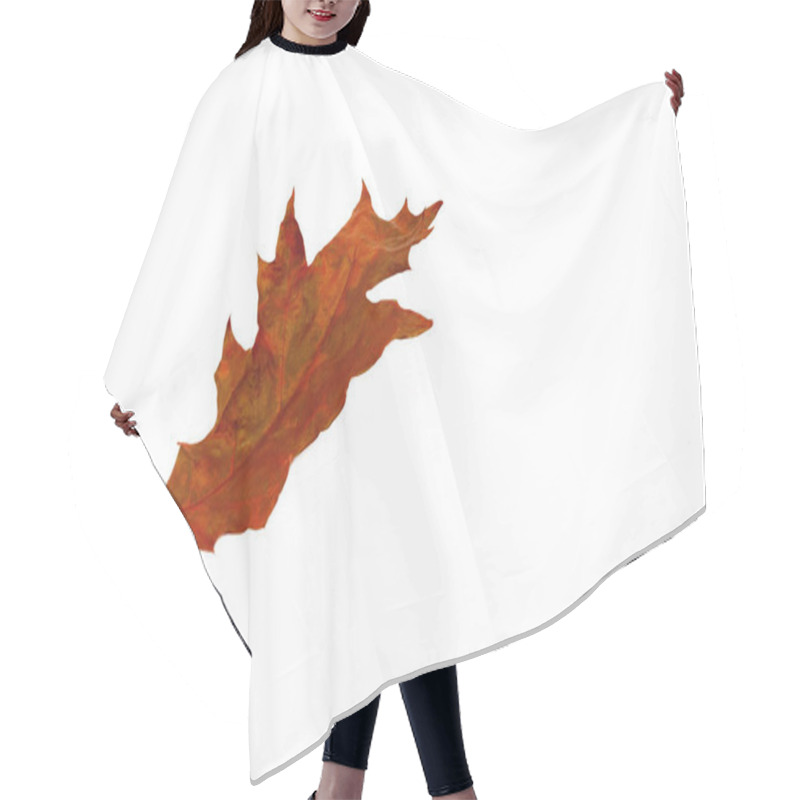 Personality  Wilted Red Maple Autumn Leaves On A White Background. An Isolate Hair Cutting Cape