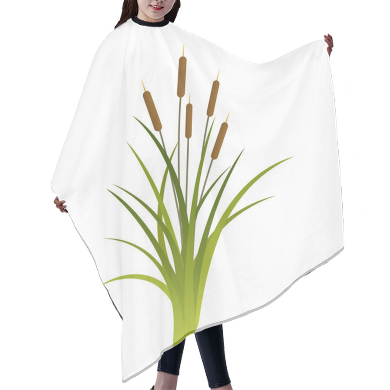 Personality  Vector Cattails Illustration Hair Cutting Cape