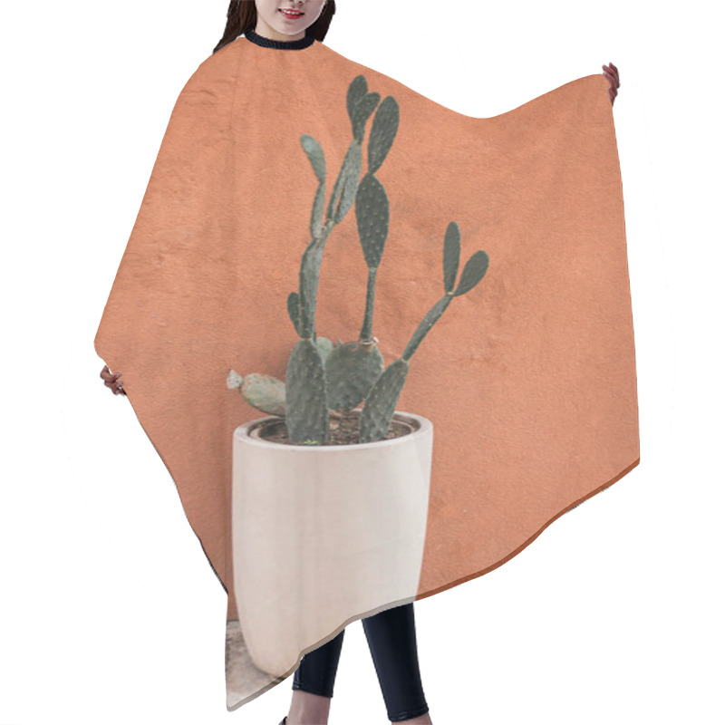 Personality  Green Cactus In White Flowerpot Near Wall  Hair Cutting Cape