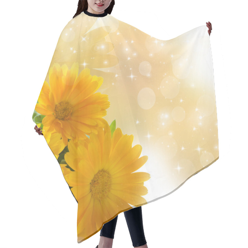 Personality  Calendula Hair Cutting Cape