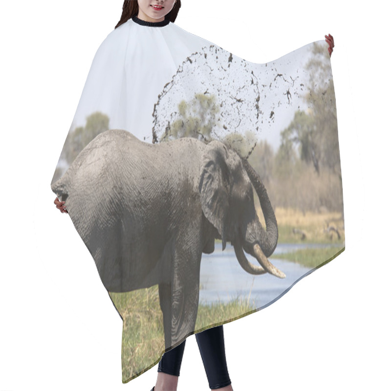 Personality  Wild African Elephant Bull Mud-showering Close To A River Hair Cutting Cape