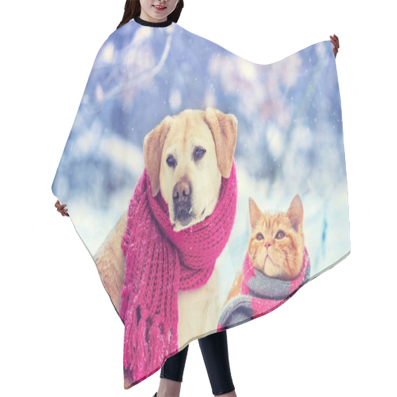 Personality  Dog And Cat Wearing Knitted Scarf Sitting Together Outdoors In The Snow In Winter. Christmas Scene Hair Cutting Cape