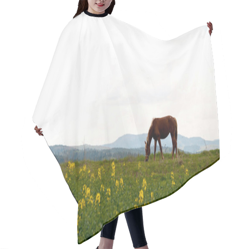 Personality  Horse And Field Hair Cutting Cape