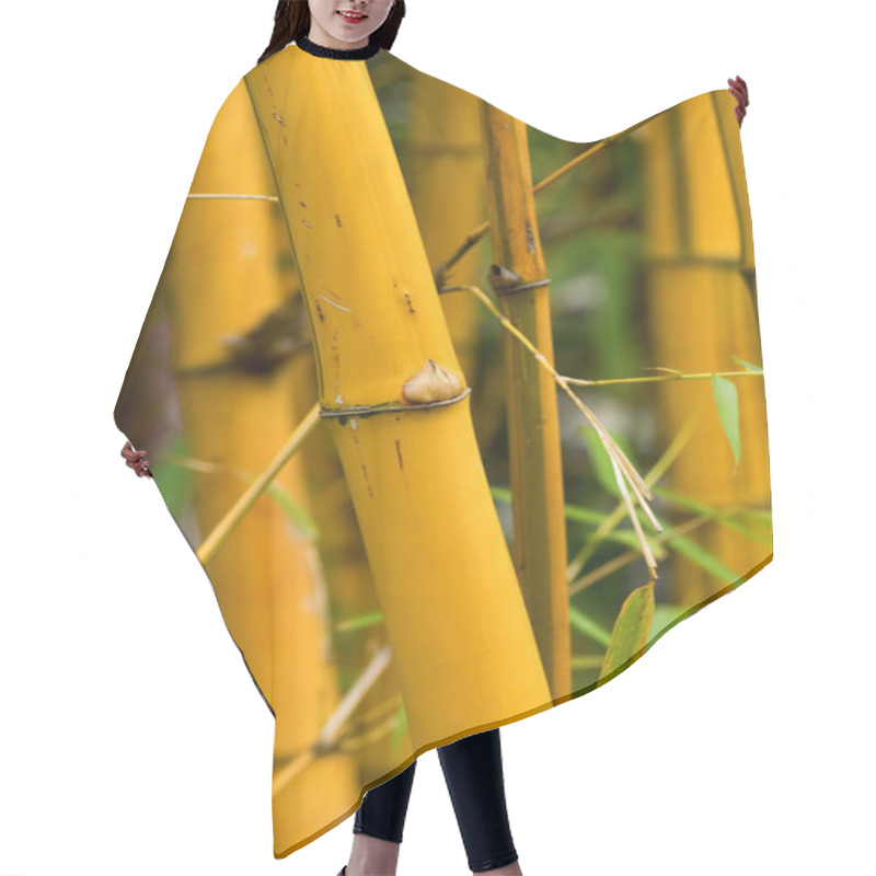 Personality  Bamboo Hair Cutting Cape