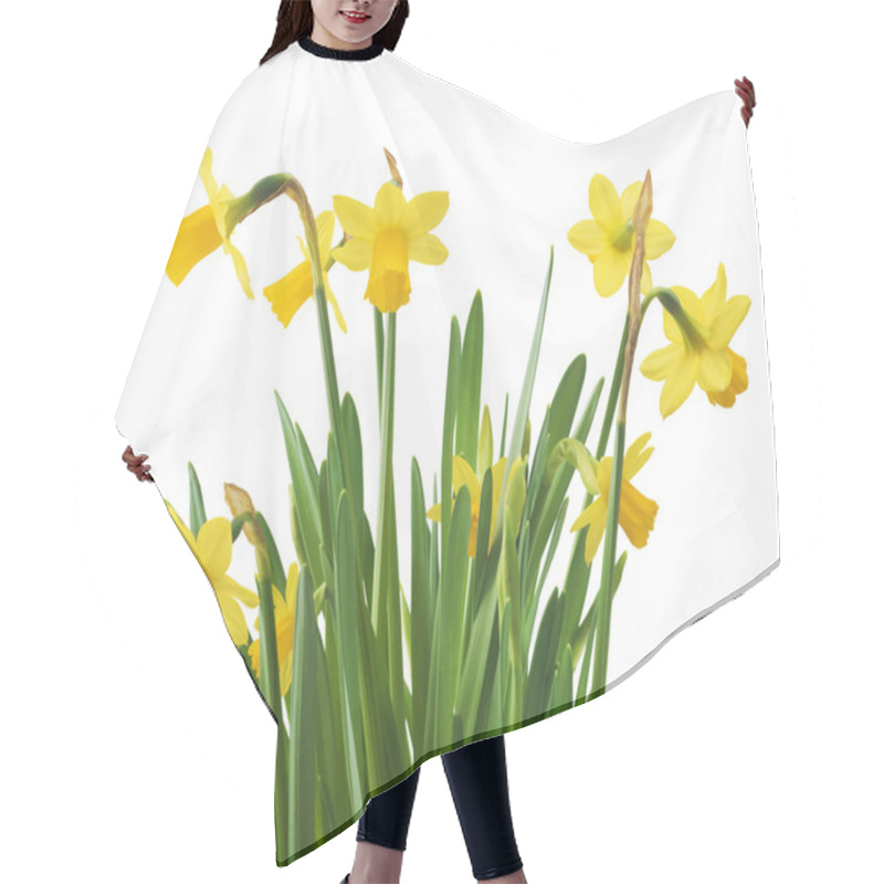 Personality  Daffodil Narcissus Flowers Hair Cutting Cape