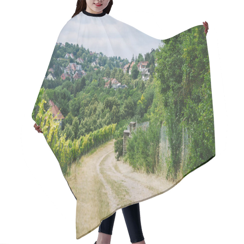 Personality  Rural Road To Village And Vineyard With Trees On Sides In Wurzburg, Germany Hair Cutting Cape