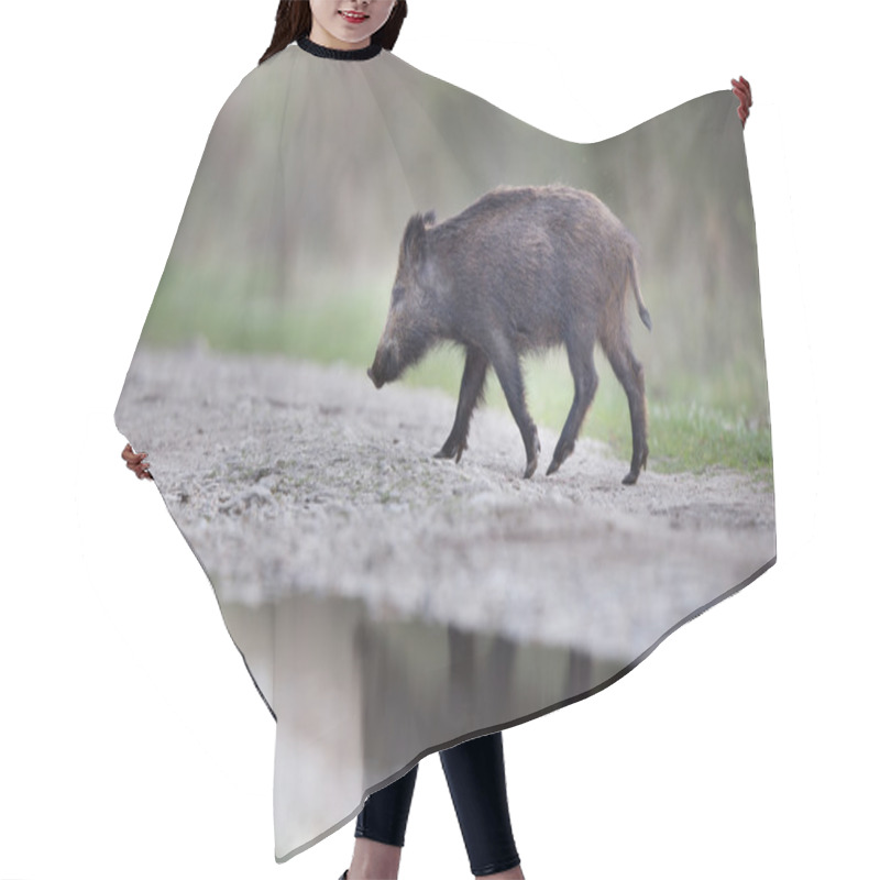 Personality  Wild Boar In The Forest Hair Cutting Cape