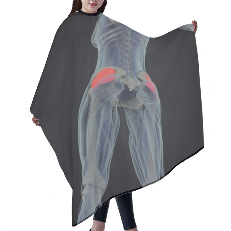 Personality  Female Fascia Lata Anatomy Model Hair Cutting Cape