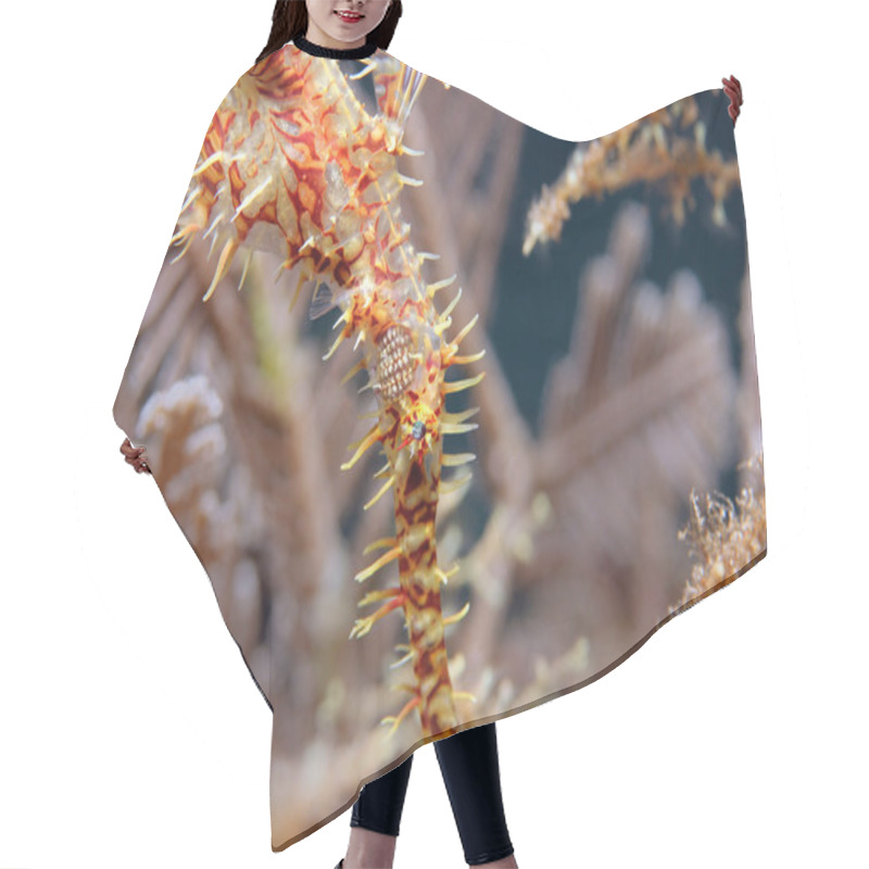 Personality  Harlequin Ghost Pipefish Hair Cutting Cape