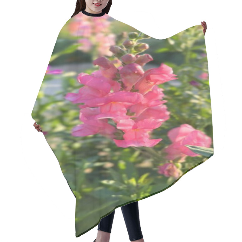 Personality  Flowers Blooming In BioFarms Attract Diverse Pollinators, Emphasizing Biodiversity. BioFarms Showcase Sustainable Practices Through Flowers And Pollinators. Balance Concept. Hair Cutting Cape