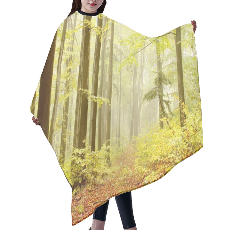 Personality  Forest Path With Beech Trees Hair Cutting Cape