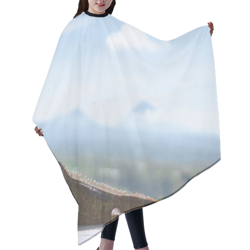 Personality  Iguana Hair Cutting Cape